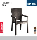 KOLTUK ELA (DİDİM)