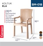 KOLTUK ELA (DİDİM)