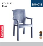 KOLTUK ELA (DİDİM)