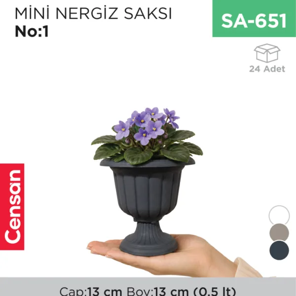 MİNİ NERGİS SAKSI NO:1 (MN01) (0