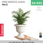 MİNİ NERGİS SAKSI NO:2 (MN02) (1