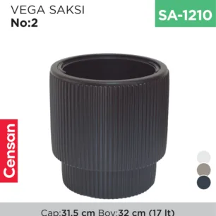 VEGA SAKSI NO:2 (VGS2)