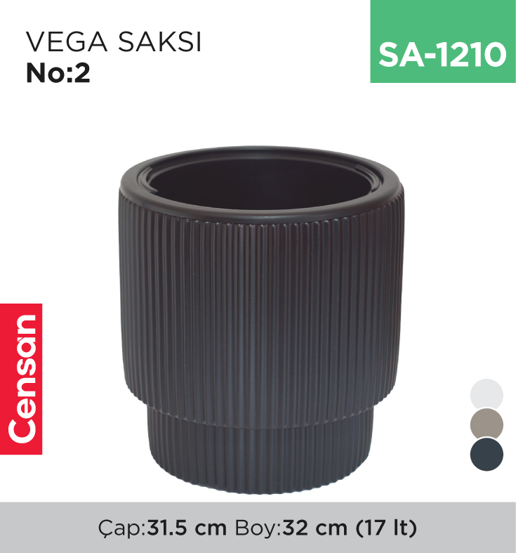 SA-1210_9697b02f6a58c3c56b49312281686085 VEGA SAKSI NO:2 (VGS2)